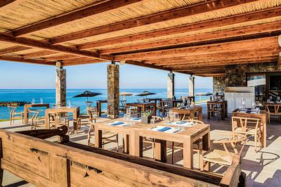 Bony Fish