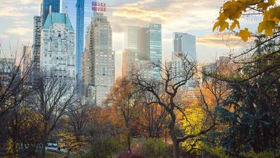 JW Marriott Essex House New York image