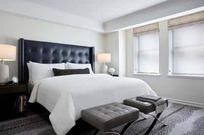 Essex Suite