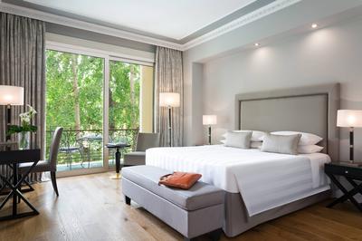 Deluxe Guest Room