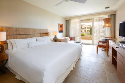 Deluxe Guest room, 1 King, Garden View, Balcony