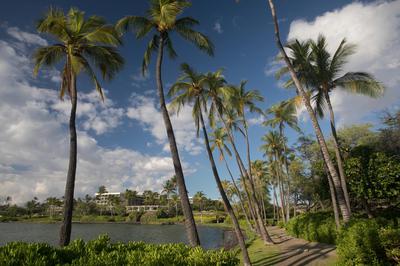 Waikoloa Beach Marriott Resort & Spa image