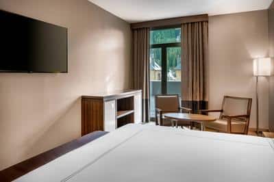 1 Bedroom Suite