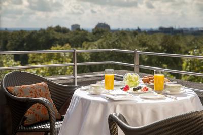 Premium Park View Suite
