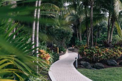 JW Marriott Miami Turnberry Resort & Spa image