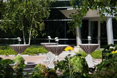 The Westin Edina Galleria image