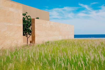 JW Marriott Los Cabos Beach Resort & Spa image