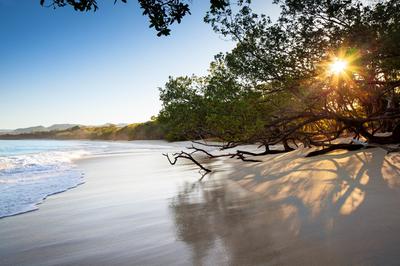 W Costa Rica - Reserva Conchal image
