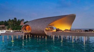 The Whale Bar