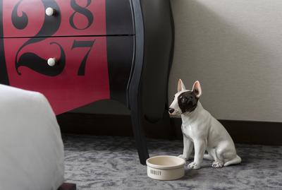 Guest room amenity