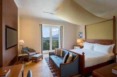 Deluxe 1 King Mountain View Venezia