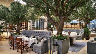 Palm Court
