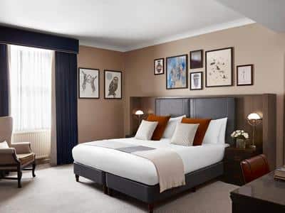 1 King Bed Premium