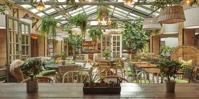 The Garden
