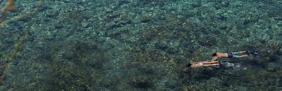 Snorkeling
