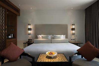 One King Bed Terrace Room / One King Bed Terrace Room with ADA Shower