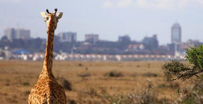 Nairobi National Park