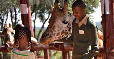 The Giraffe Centre