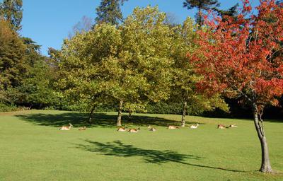 Gardens