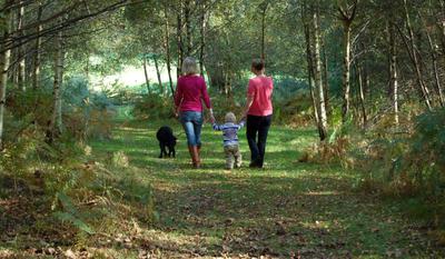 Family & Dog Friendly