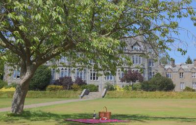 Estate Picnics