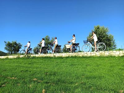 E-Bikes