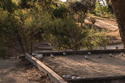 Petanque