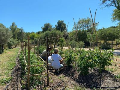 Agro-Forestry Farm
