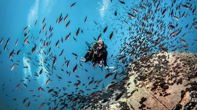 Scuba Diving