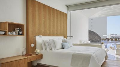 Partial Ocean View Junior Suite with Plunge Pool