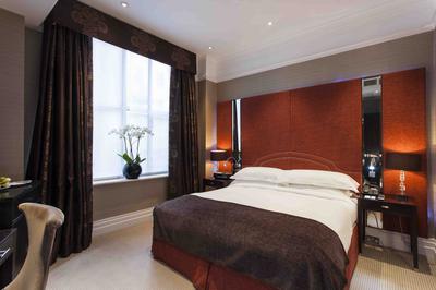 Townhouse Superior King