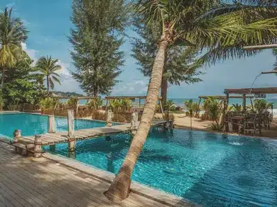 The Lazy Coconut
