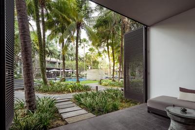 Palm Premium