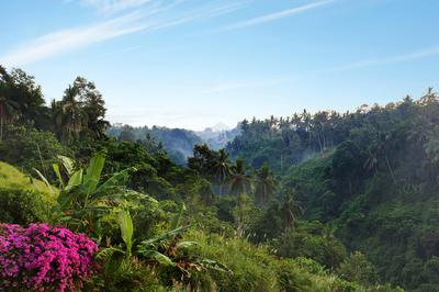 Petanu River Valley View