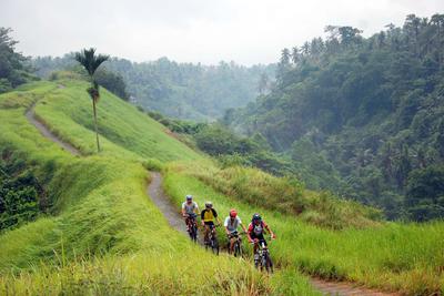 Bike tour