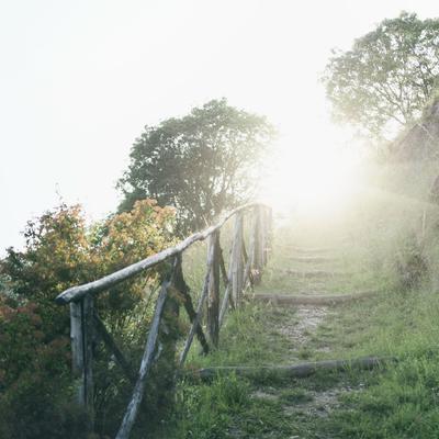 Outdoor Path