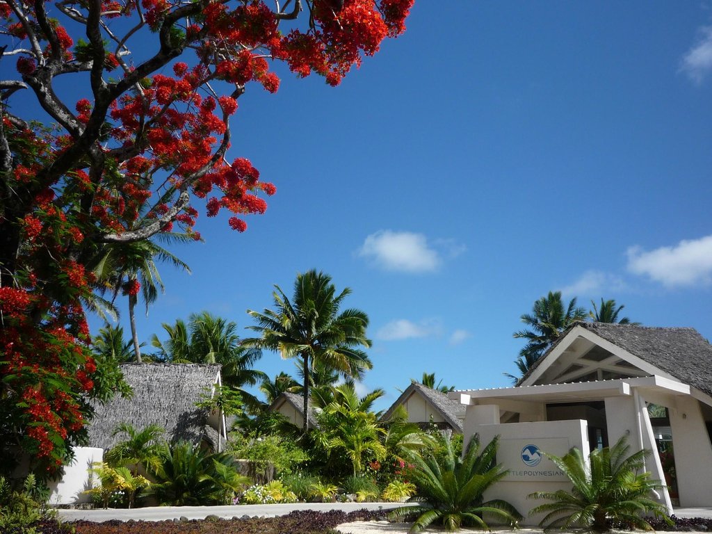 Little Polynesian Resort