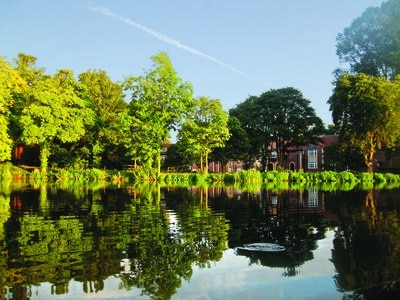 Lake View