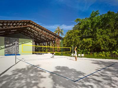 Volleyball