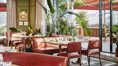 Dani Brasserie