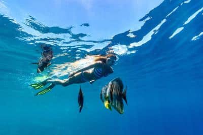 Snorkeling