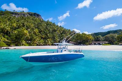 Boat Trips