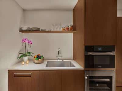 1 Bedroom Penthouse Suite