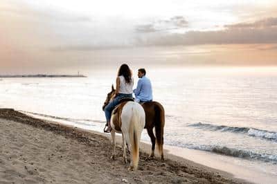 Horse Riding