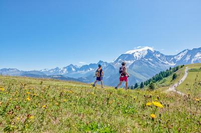 Hiking