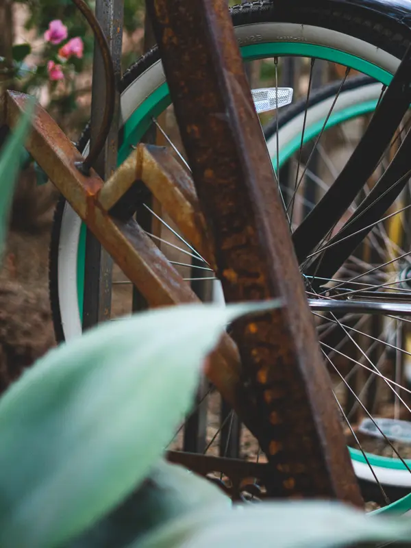 Cruiser Bikes