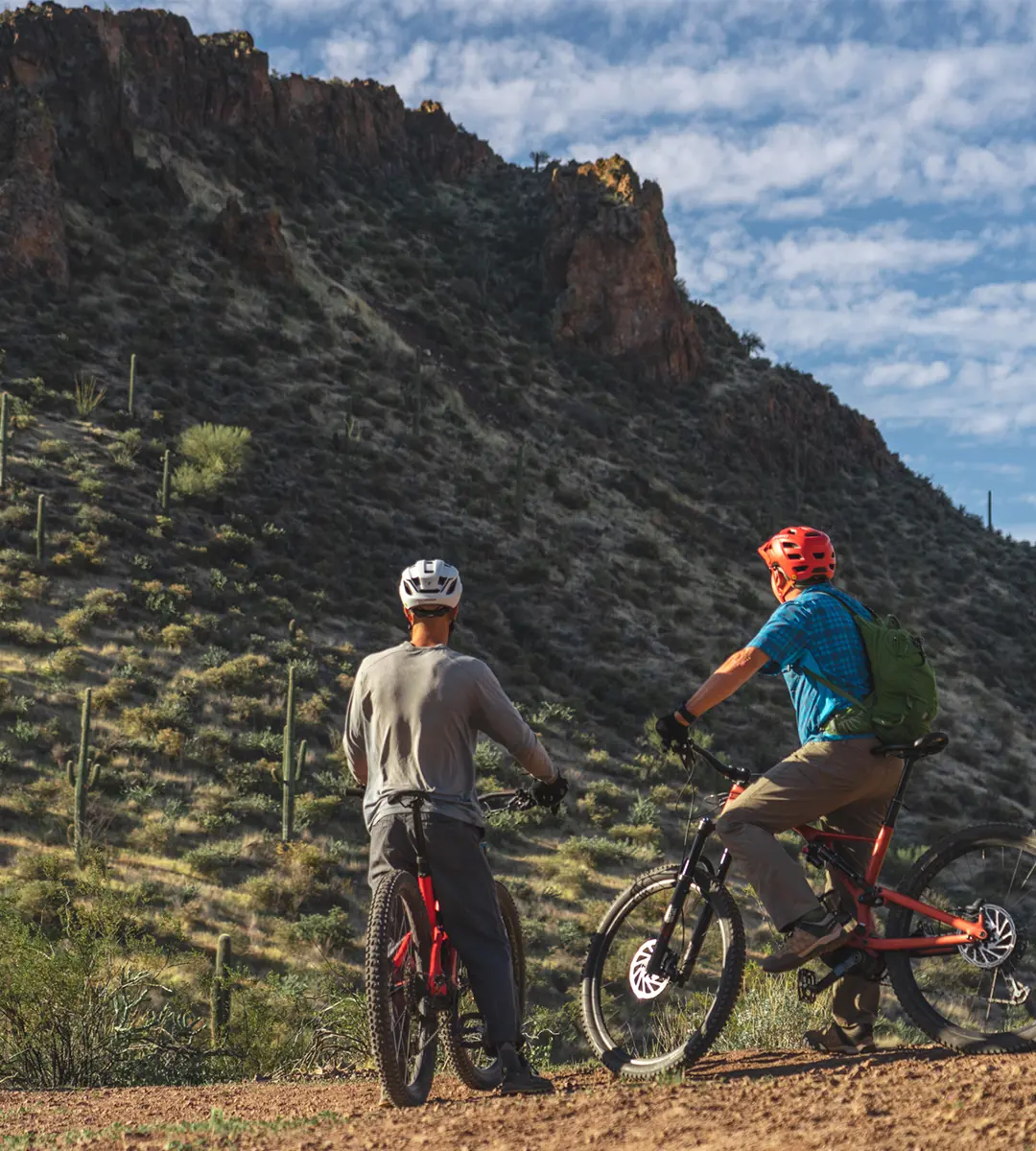 Mountain E-Bikes