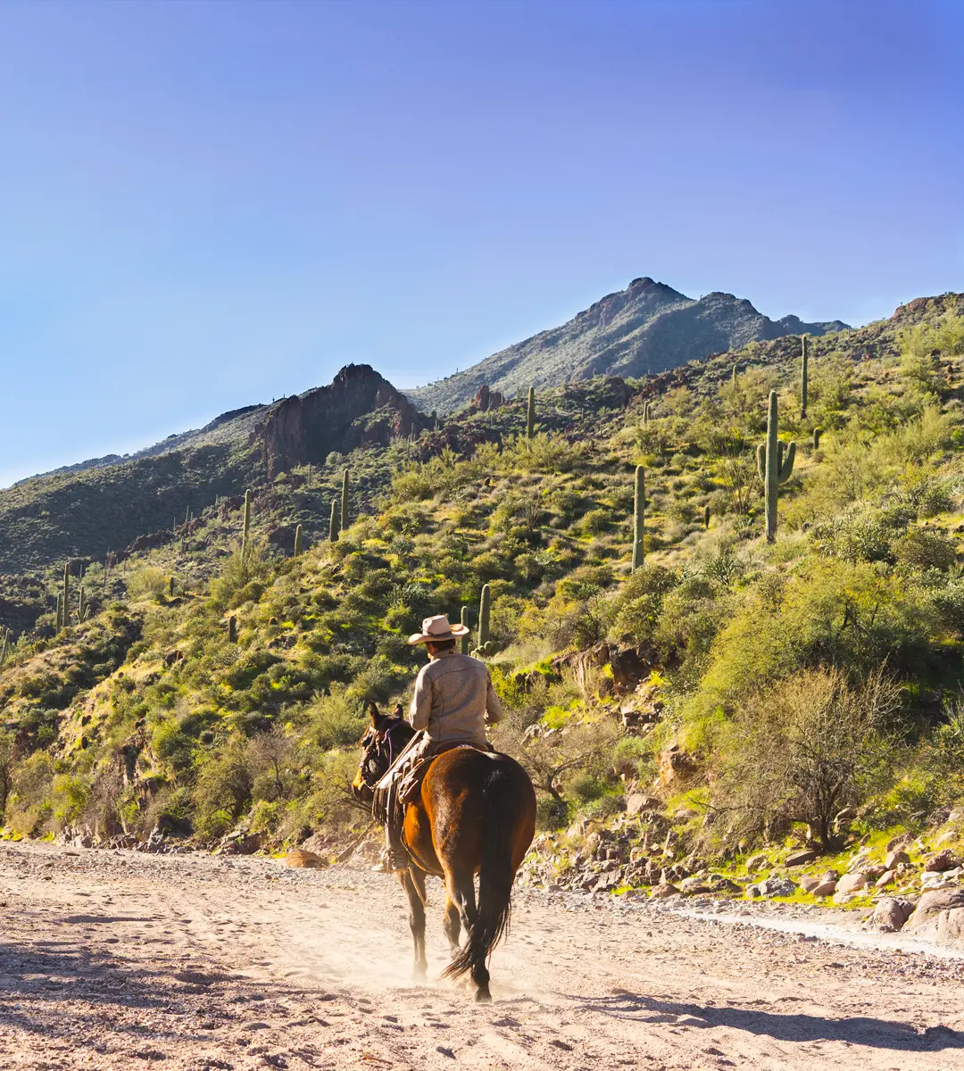Horse Riding