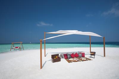 Beach Picnic