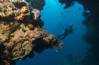 Scuba Diving